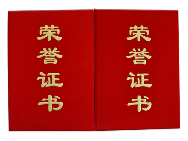 香蕉久久国产AV一区二区榮譽證書